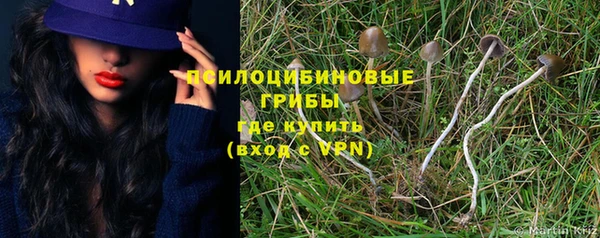 синтетический гашиш Алексеевка