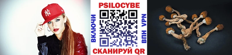 маркетплейс как зайти  где можно купить   Кизел  Галлюциногенные грибы MAGIC MUSHROOMS 